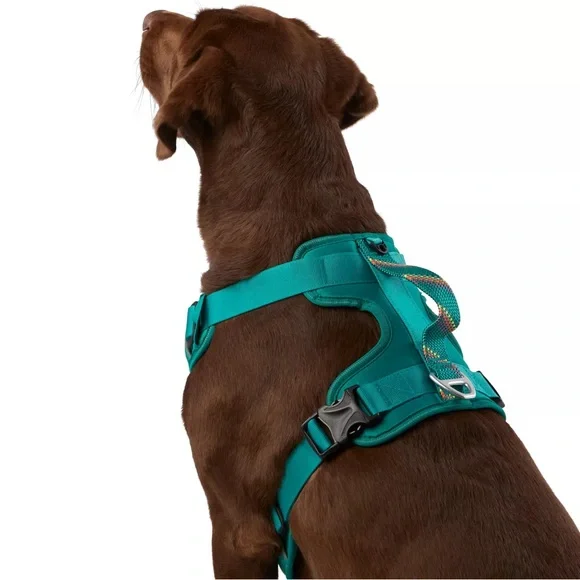 ARCADIA TRAIL | Neoprene Dog Harness | SZ LG - Picture 7 of 9